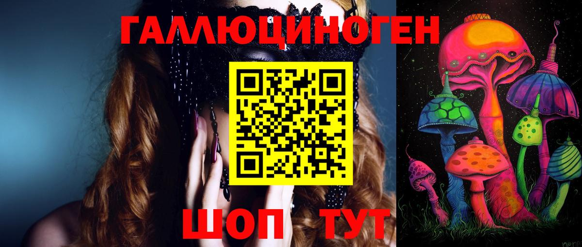 Гусиноозёрск  Галлюциногенные грибы мухоморы  Галлюциногенные грибы Psilocybe  Вход с VPN 